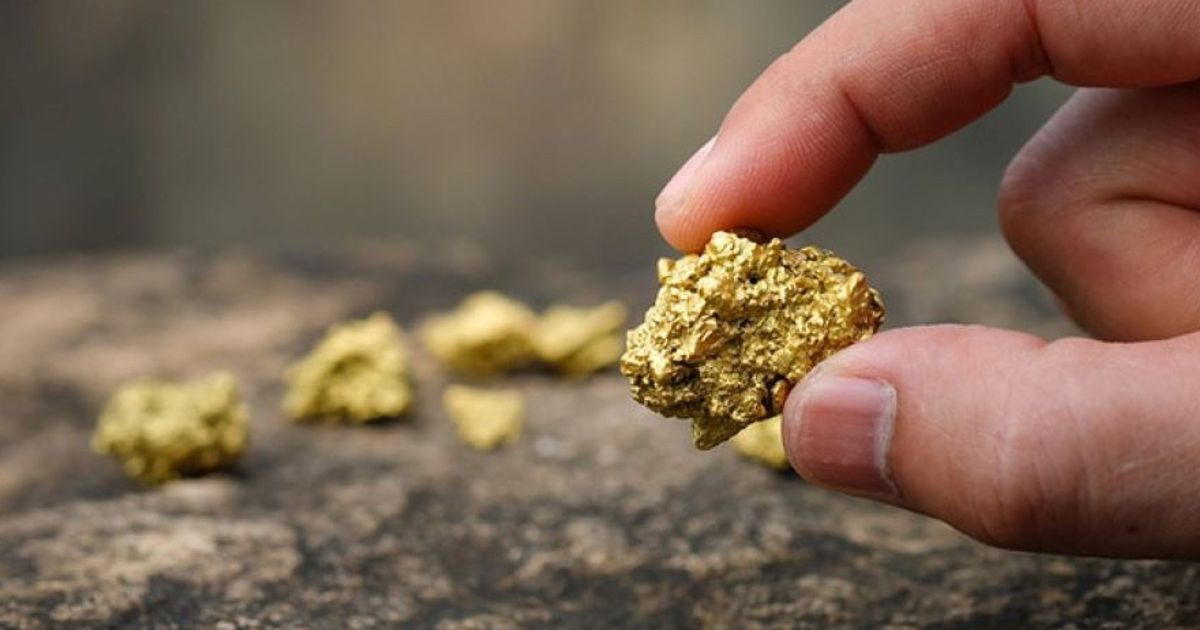 Tempest Minerals discovers new gold-bearing structures at Range - Vimarsana News