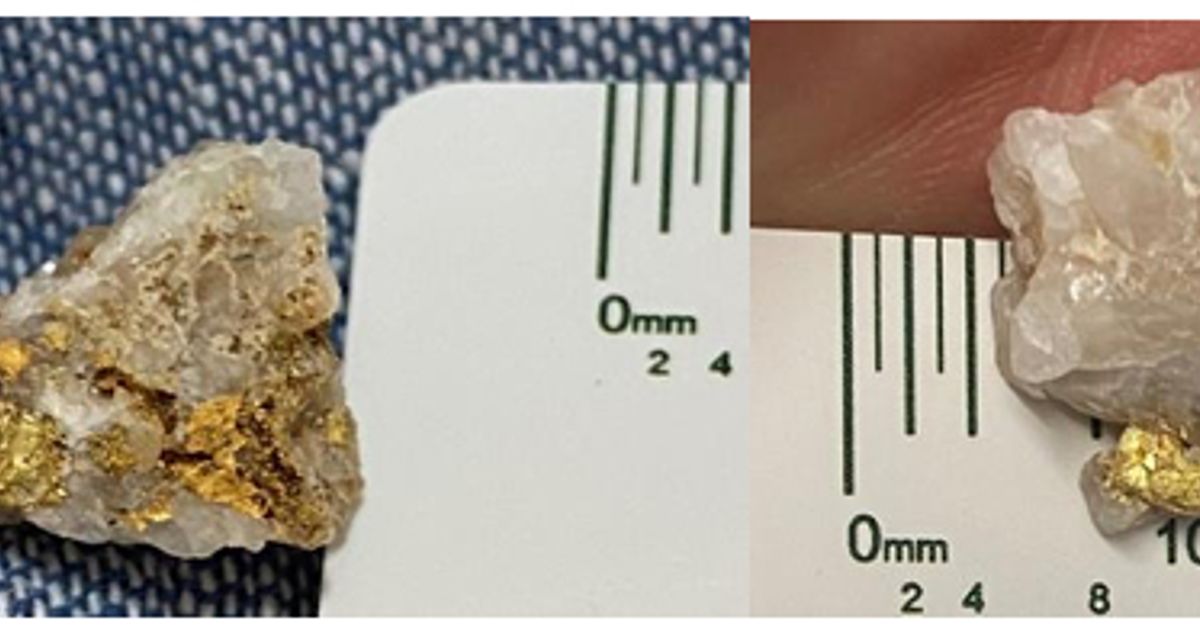 Novo Resources fields golden RC results at Nunyerry North; kicks off drilling at Becher - Vimarsana News