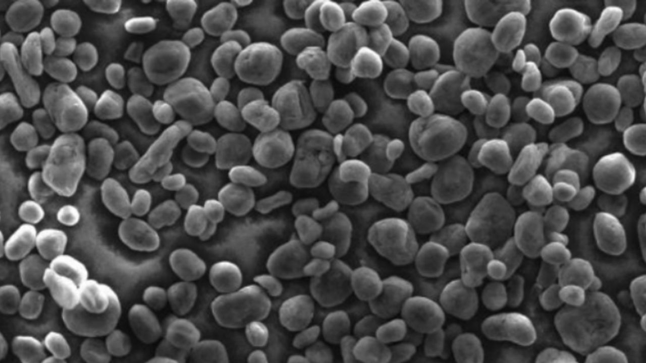 Lithium Energy tests highlight “exceptional