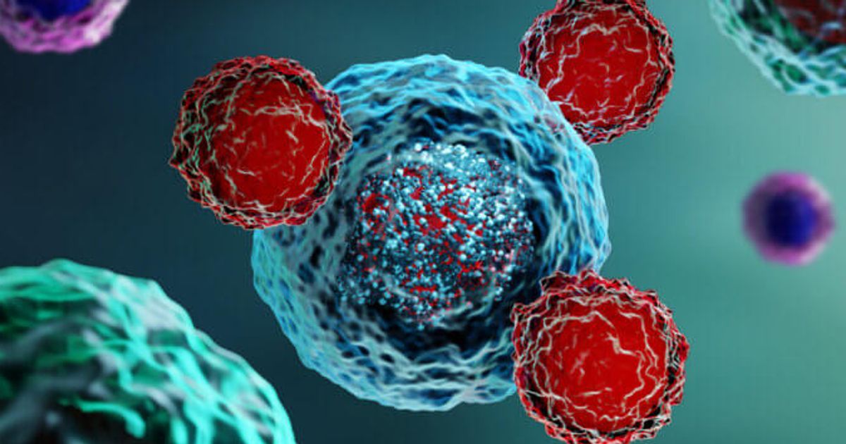 Australian Cell and Gene Catalyst calls for cell and gene therapies to be recognised as medical specialty - Vimarsana News