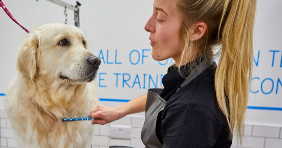 Pets at Home unscathed after first half of 'highest execution risk ...
