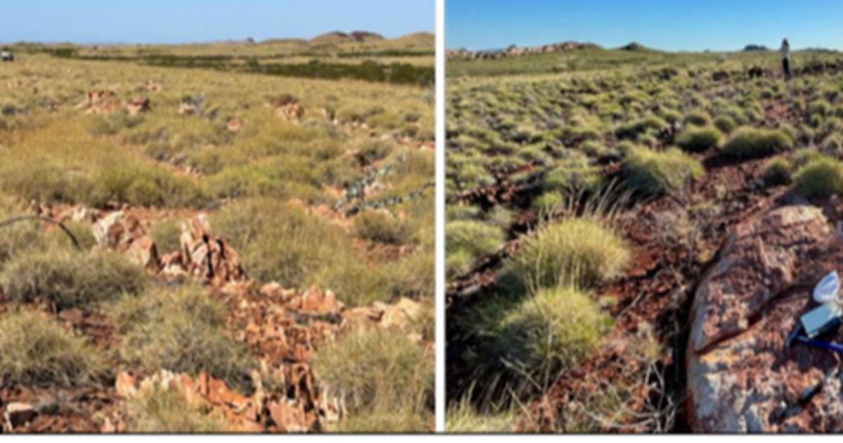 Accelerate Resources confirms lithium mineralisation over 1.8 kilometres from sampling at Prinsep; shares up - Vimarsana News
