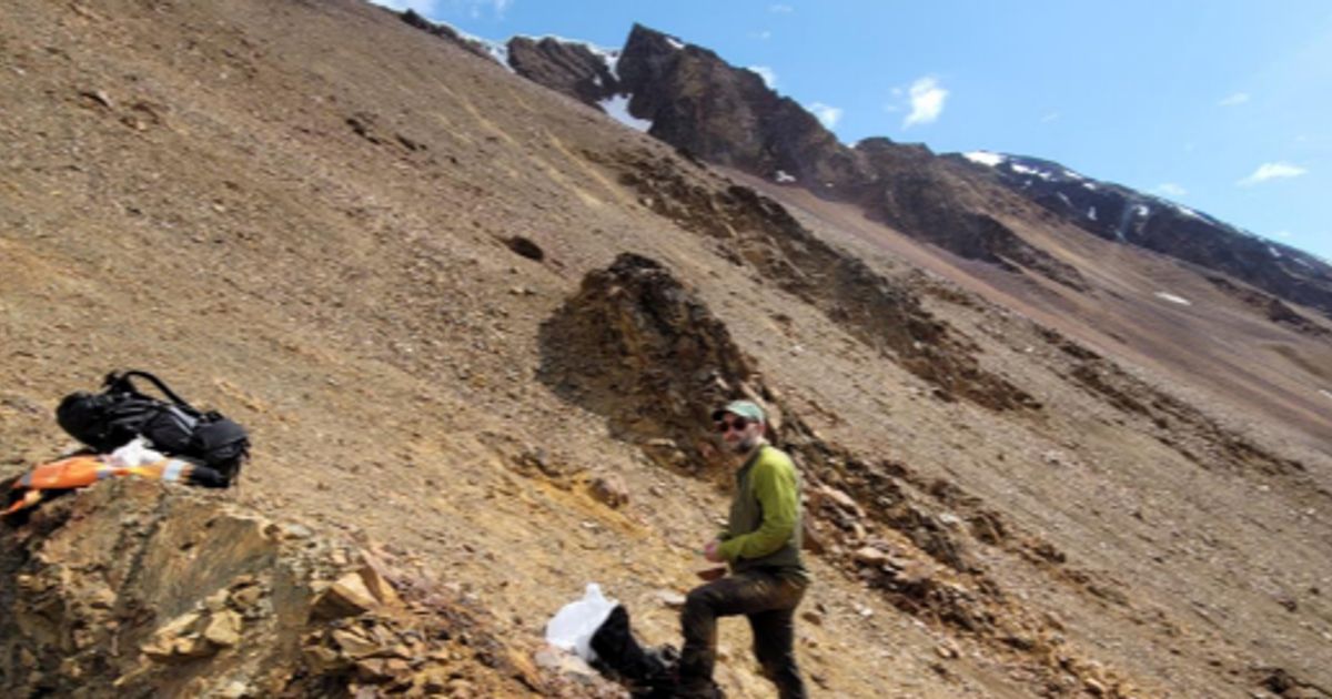 Nova Minerals detects large surface gold anomalies at Estelle Gold Project's Revelation - Vimarsana News