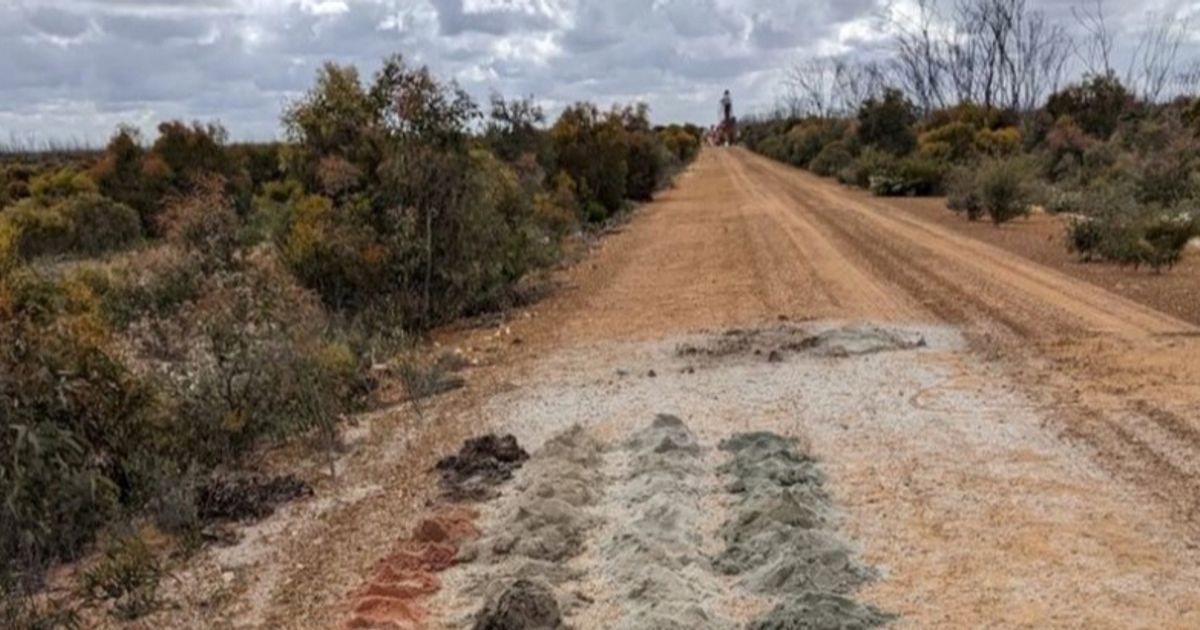 Moho Resources confirms thick high-grade REEs at Peak Charles - Vimarsana News