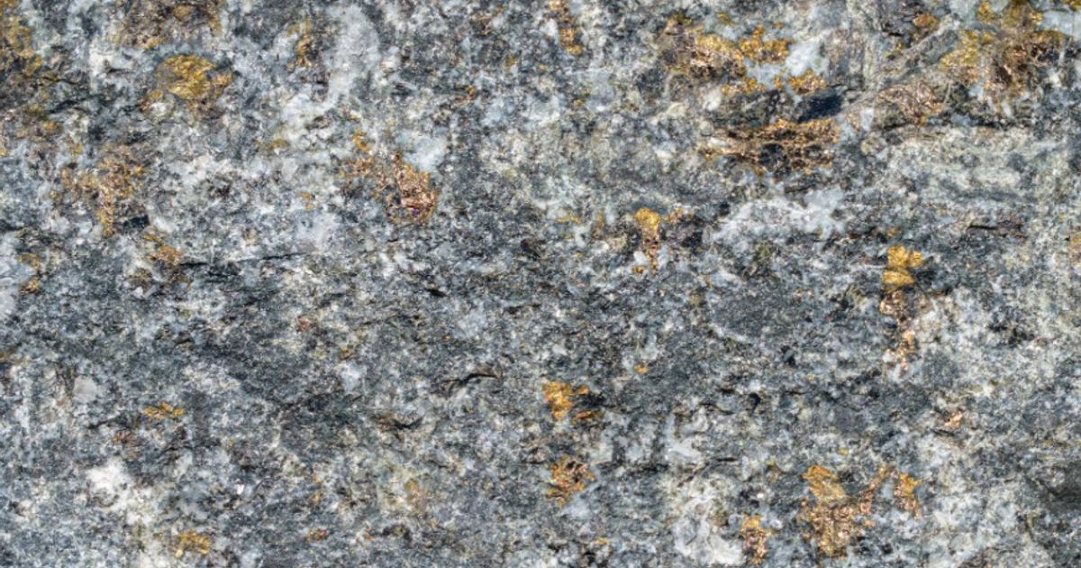 Talon Metals drills high grade nickel-copper outside Tamarack Project's resource - Vimarsana News