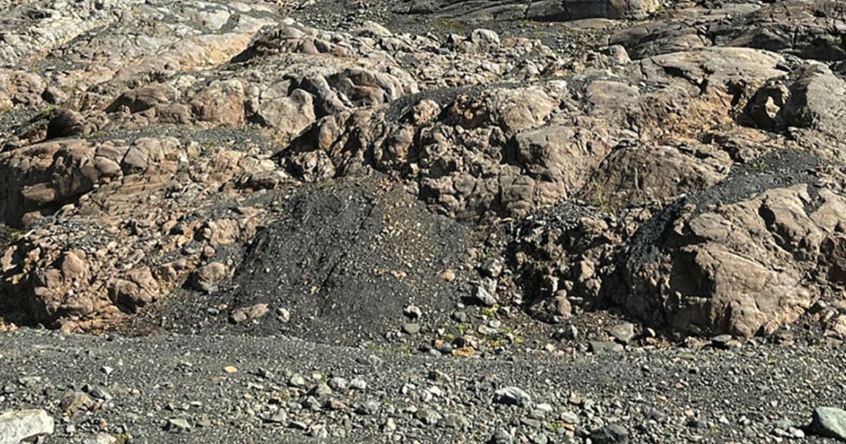 Eskay Mining new assay results from Eskay Project confirms new VMS discovery - Vimarsana News