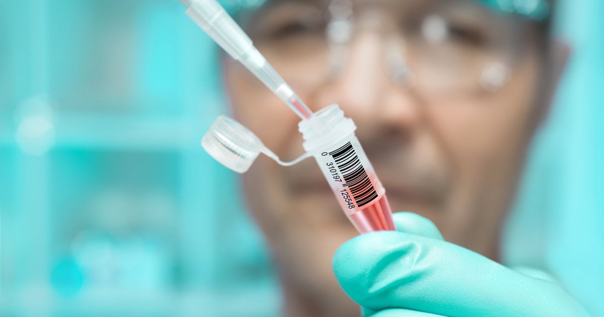 Arovella Therapeutics to fully focus on lead cancer programs on terminating DKK1 licence - Vimarsana News