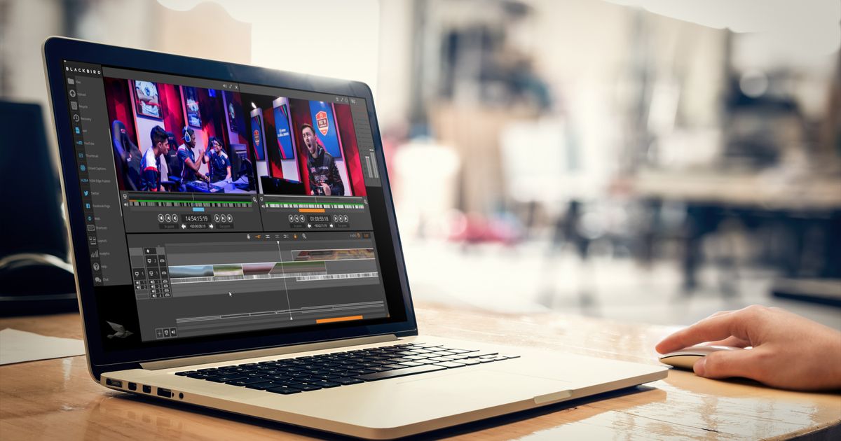Blackbird "bang on schedule" with elevate.io rollout - Vimarsana News