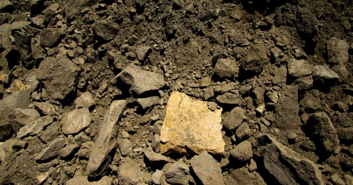 NickelX readies for drilling next month at Dalwallinu Nickel-Copper-PGE Project - Vimarsana News