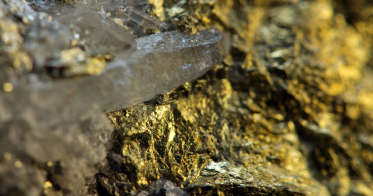 Gold Terra Resources intersects 12.93 g/t Gold in Campbell Shear - Vimarsana News