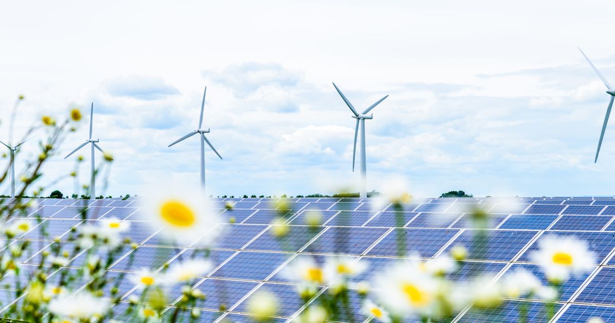 UK renewables funds have priced in peak rates and offer "trough valuations", says RBC - Vimarsana News