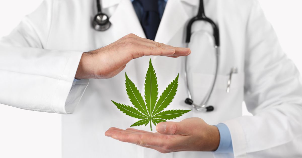 Cannabis stocks continue to grow as medical benefits come further to light - Vimarsana News