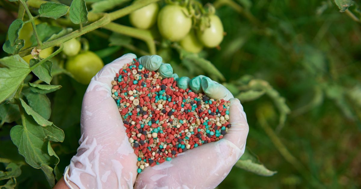 Reward Minerals looking to fast-track its technology with Beyondie acquisition - Vimarsana News