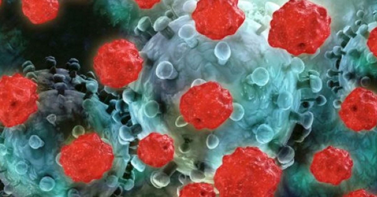 Imugene to commence new phase 2 PD1-Vaxx bowel cancer trial - Vimarsana News