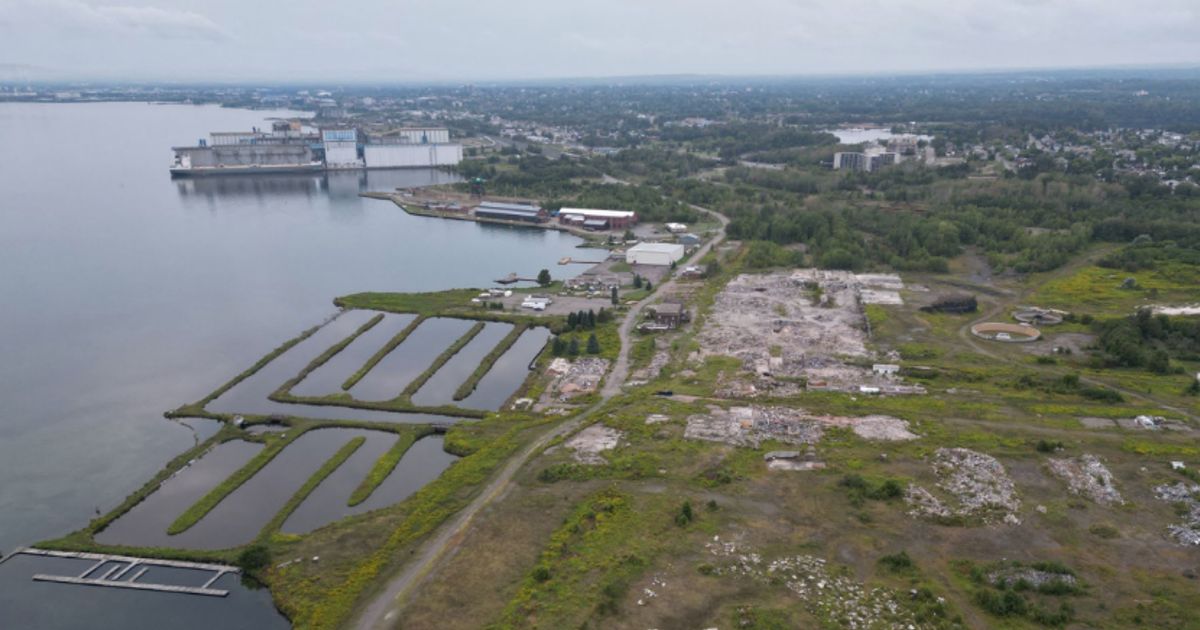 Green Technology Metals PEA reveals strong economics; Seymour mining lease granted - Vimarsana News