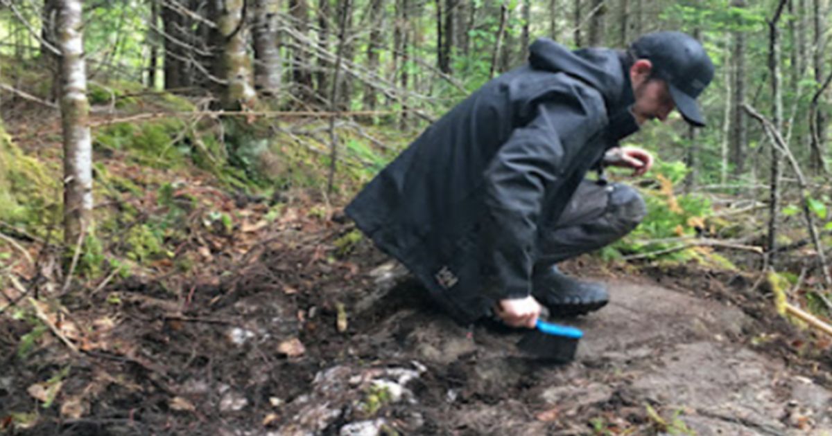 Great Atlantic Resources finds new sulfide-bearing quartz veins at New Brunswick project - Vimarsana News
