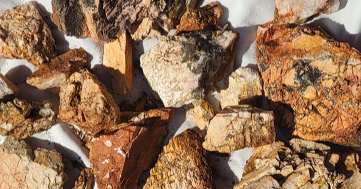 Flynn Gold identifies additional pegmatites at Lake Johnston Lithium Project - Vimarsana News