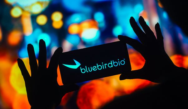 bluebird bio stock rises on 2024 patient start guidance; commercial