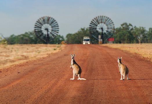 Tamboran Resources Ltd - 