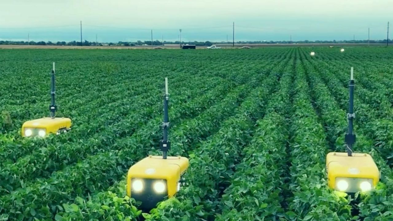 Chipotle invests in farming robots and new-age fertilizer | NYSE:CMG