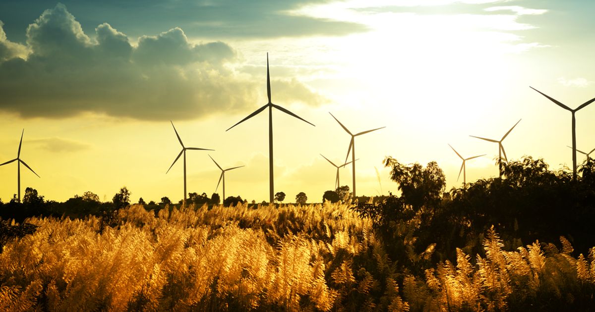 Greencoat UK Wind capacity passes 2GW but still "has to be patient" - Vimarsana News