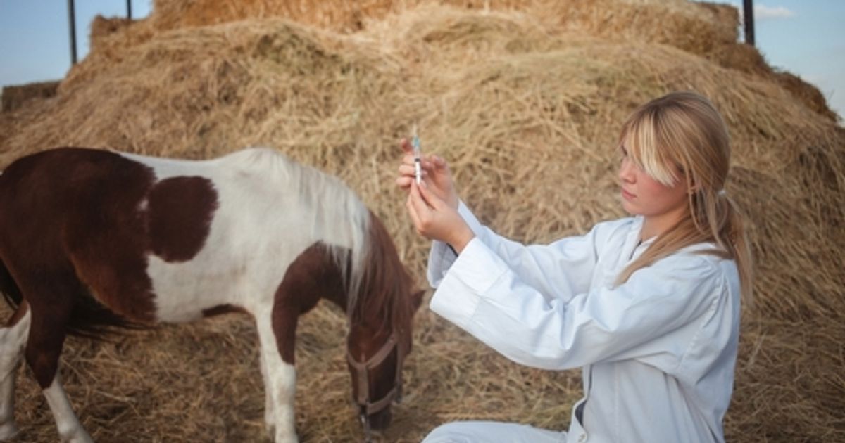 Frontier IP portfolio company Vaccine Group installs advisory board of high-ranking veterinary experts - Vimarsana News