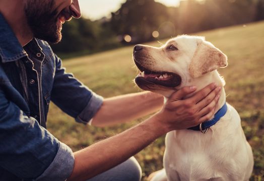 Person and dog