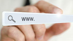 web_address_bar,_sized