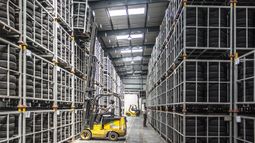 Pallet_572ca5f96f874