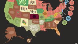Monsanto US crop map