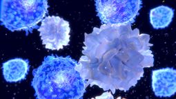 Cancer cells
