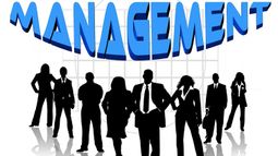 Management