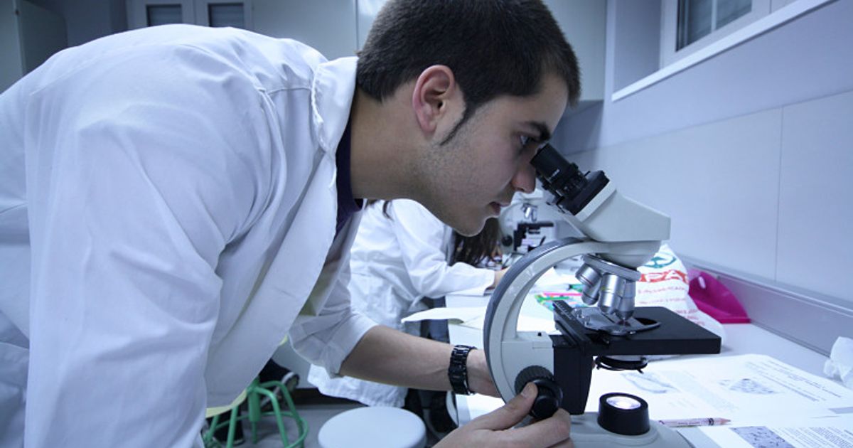 Theralase Technologies leads the way in light-activated cancer therapies - Vimarsana News