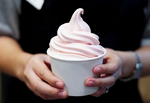 Frozen yogurt