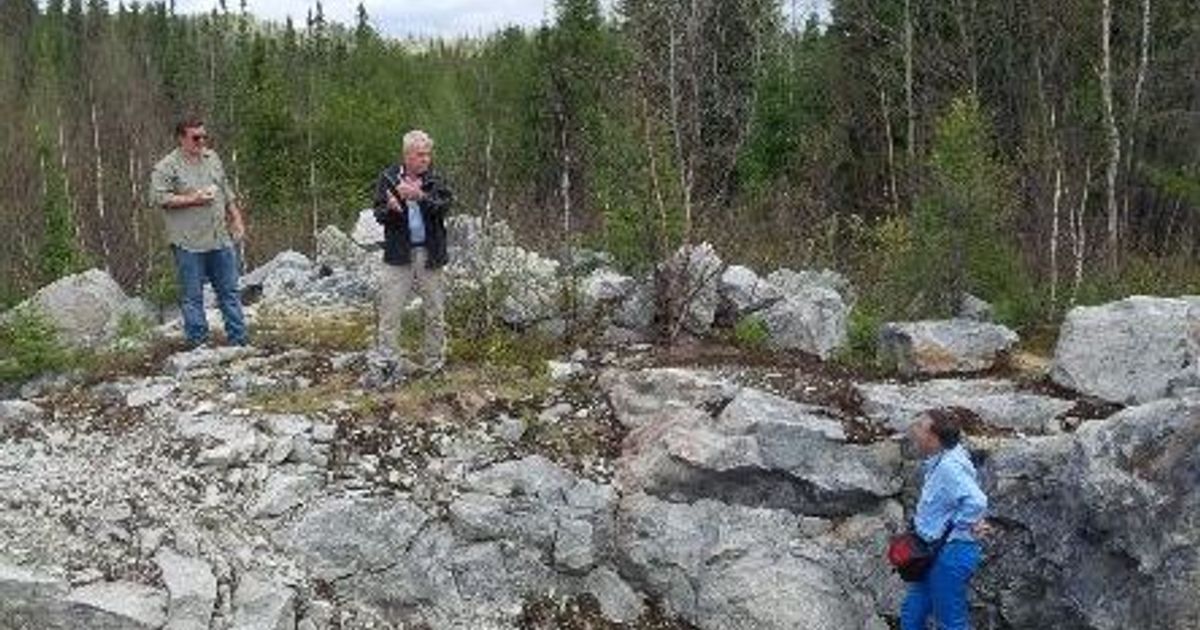 Sayona Mining Ltd survey shows lithium potential at new Tansim project