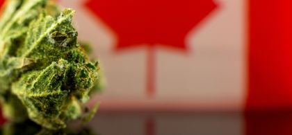 Apha tsx deals