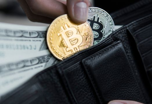Bitcoin coins in a wallet