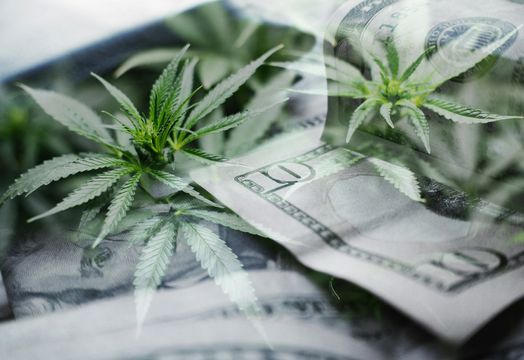 cannabis on dollar bills