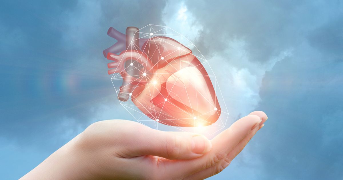 Acasti Pharma CEO says its CaPre could become a best-in-class omega-3 ...