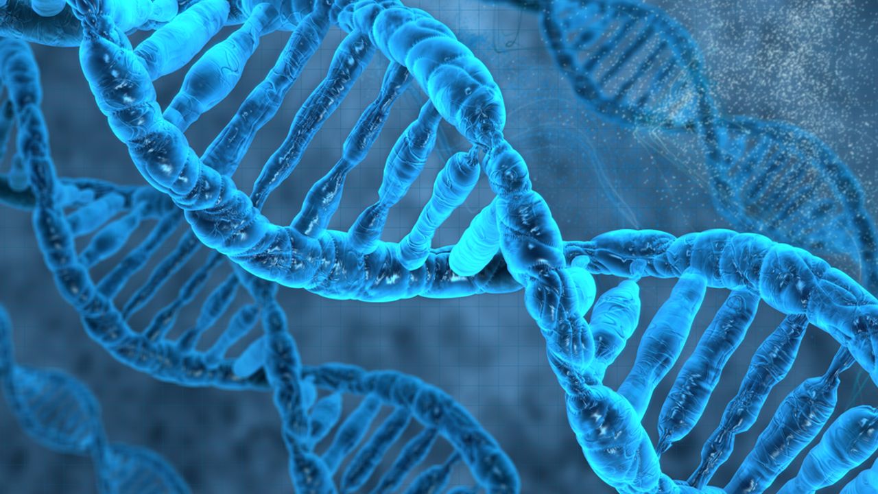 LexaGene files additional US patents to protect proprietary LX2 genetic ...