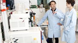 Inside an ImmunoPrecise lab