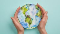 sustainability